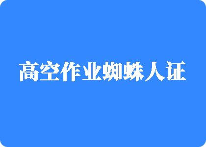 香港黄片肏屄片高空作业蜘蛛人证